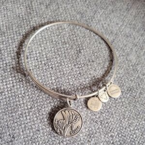 Alex and Ani Silver Sister 2015 Charm Bangle Bracelet